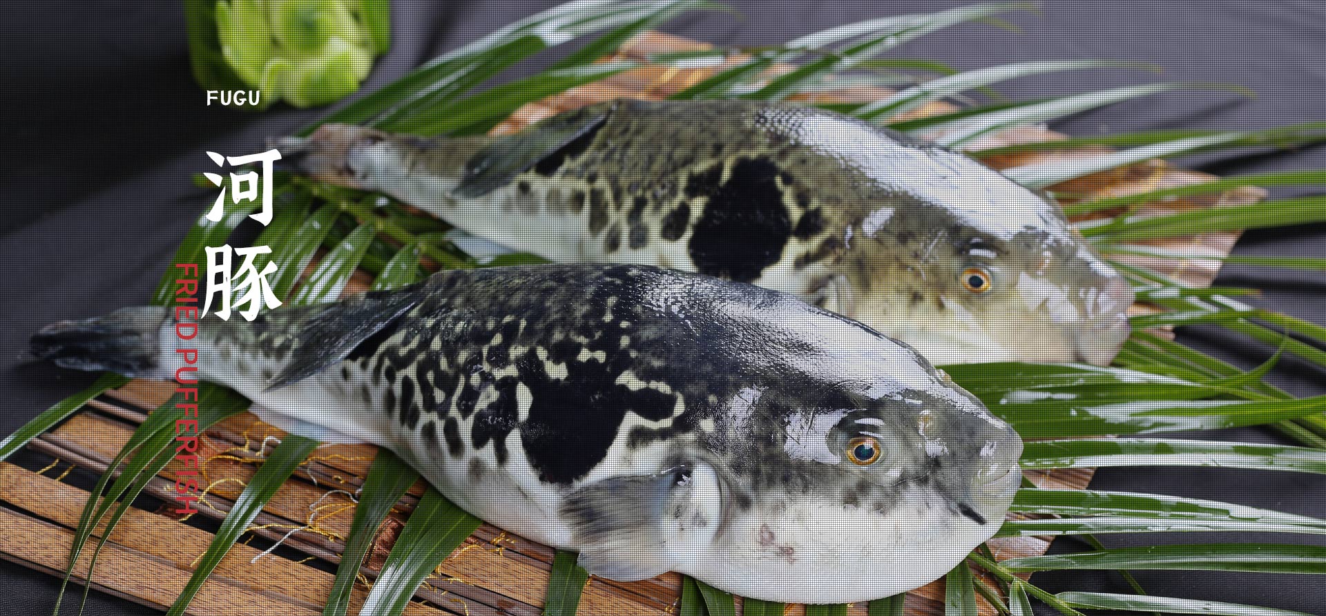 太阳成tyc122cc(中国)集团